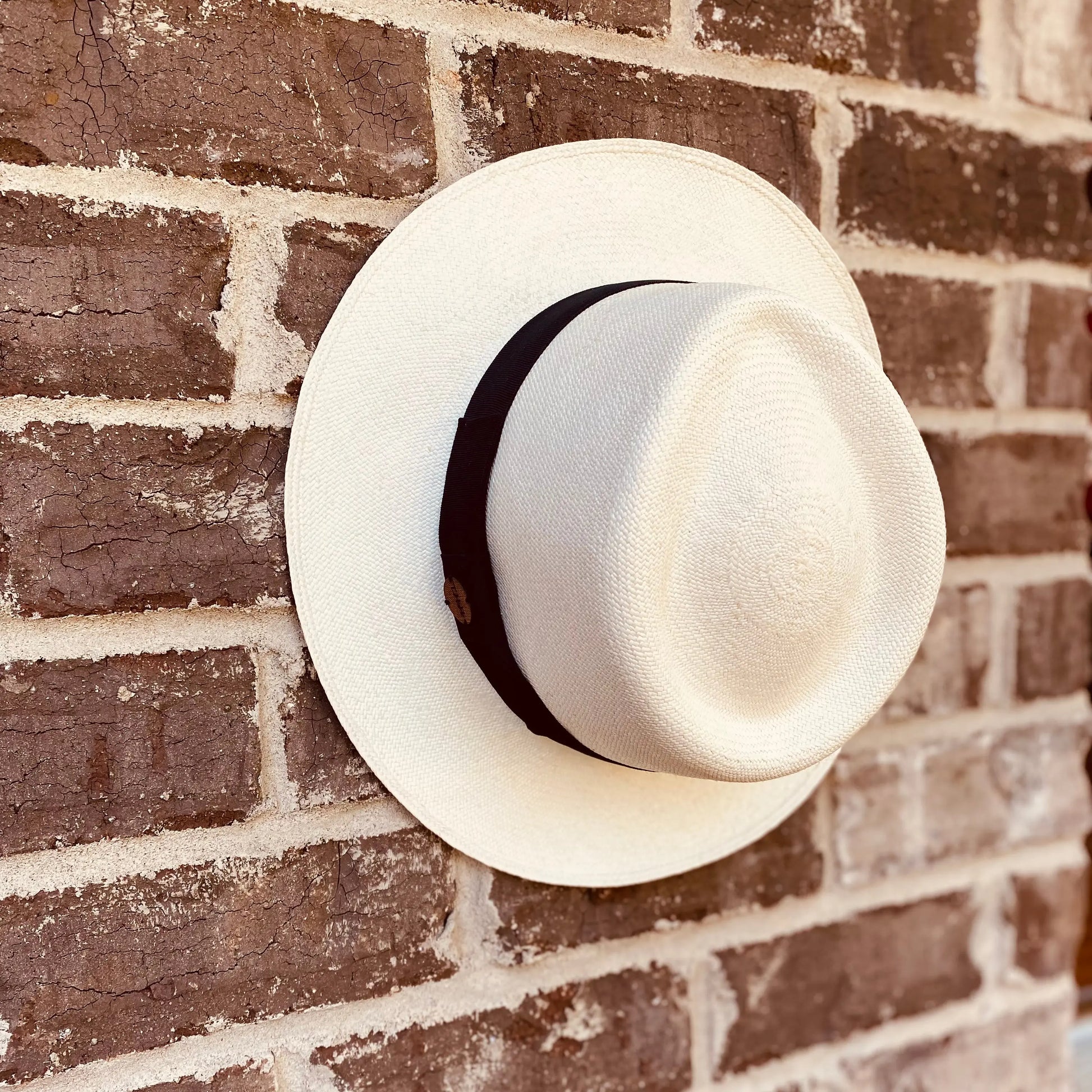 Shop Panama Straw Hats - The Hip Hat 